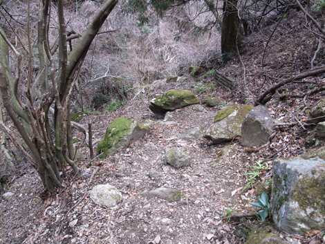20170113hike (424)